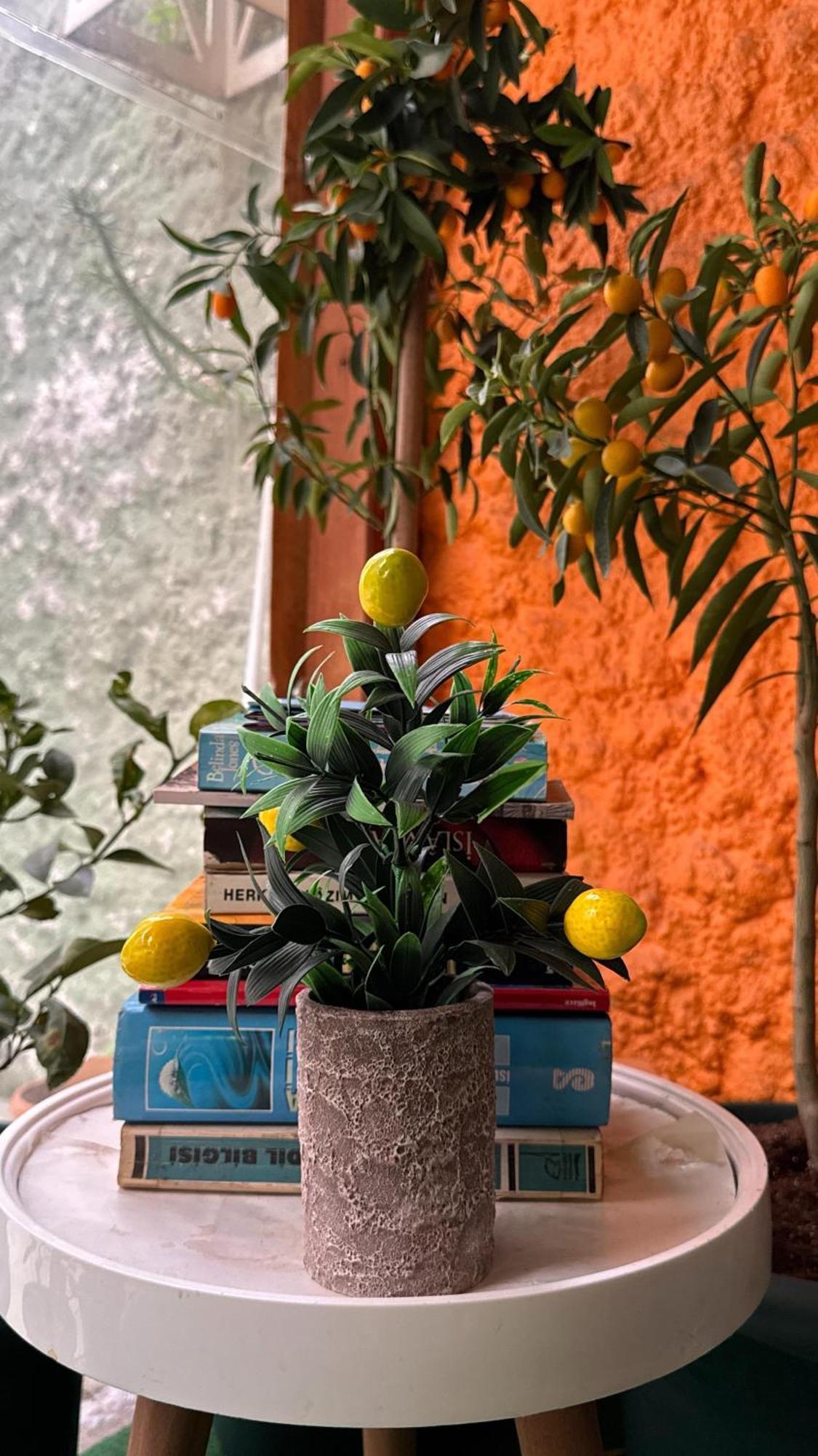 Limon Hotel Edirne Luaran gambar